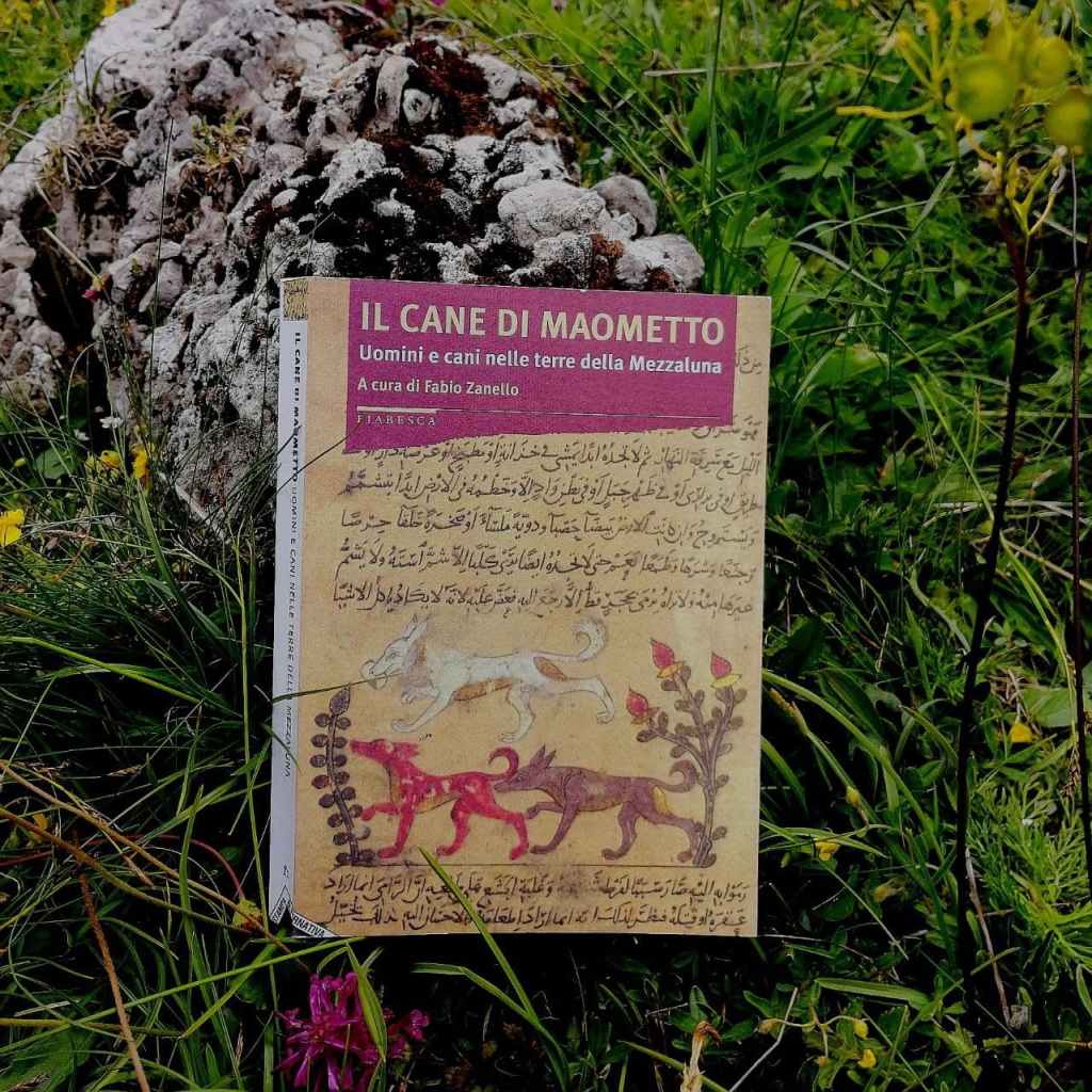 Fabio Zanello, “Il cane di Maometto: uomini e cani nelle terre della Mezzaluna”