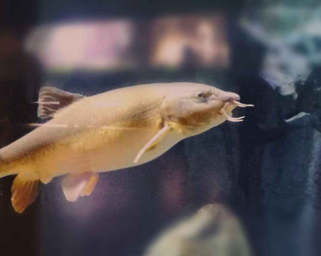 Quattro passi all’Acquario Civico di&nbsp;Milano