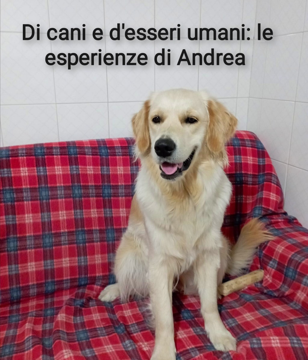 Andrea, Athena e…