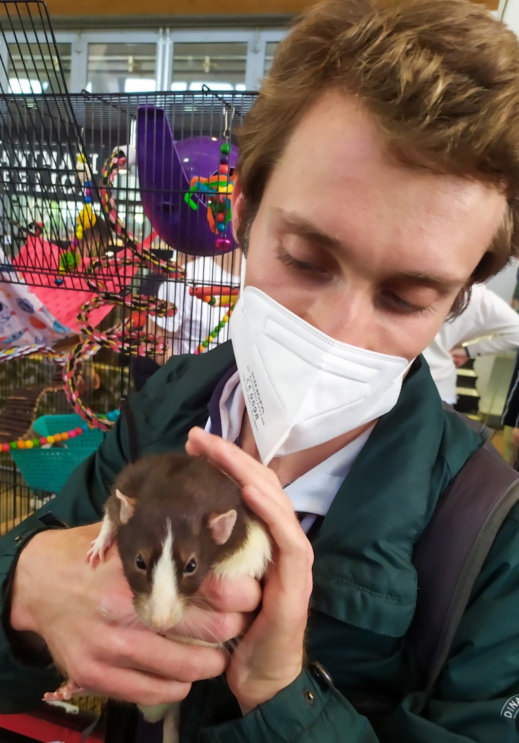 VeronaReptiles 2022: il mio felice debutto tra i pet più insoliti (con note serie sul&nbsp;tema)