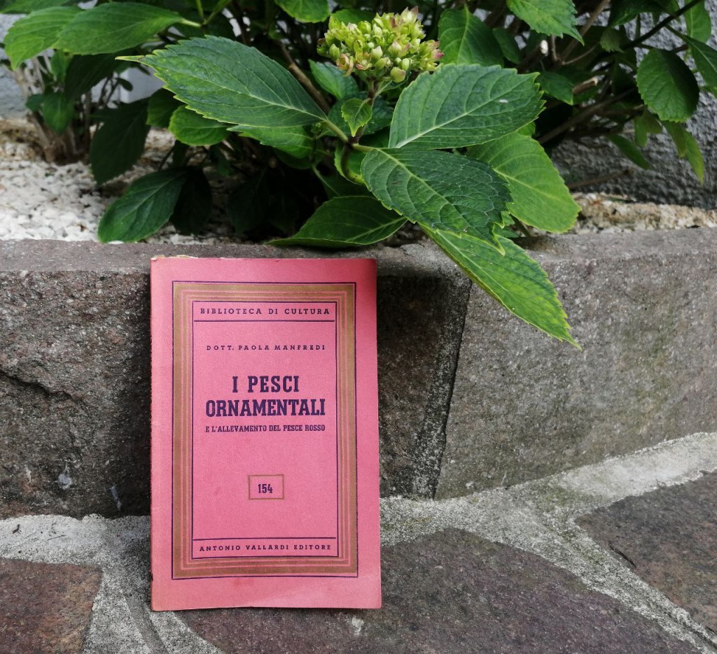 Agli albori dell’acquariofilia italiana: il manuale di Paola Manfredi, tra pesci e altre meraviglie&nbsp;acquatiche