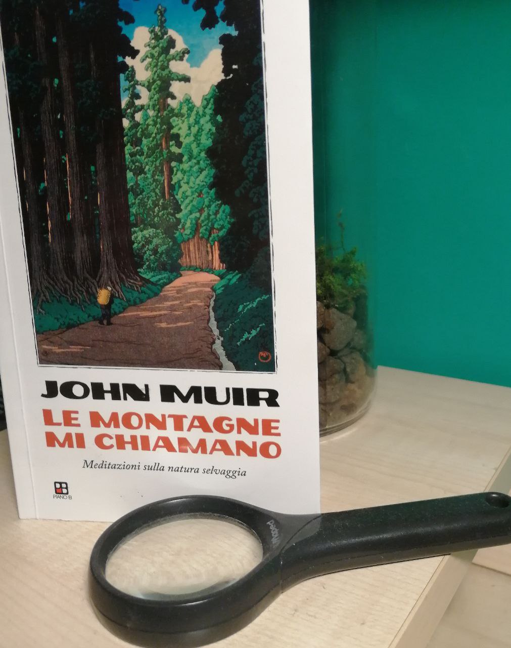 John Muir, “Le montagne mi&nbsp;chiamano”