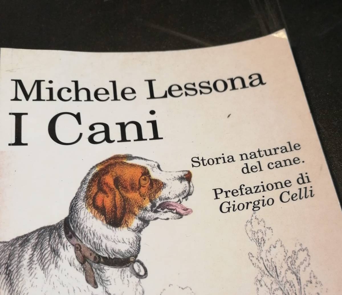 Michele Lessona, “I&nbsp;cani”