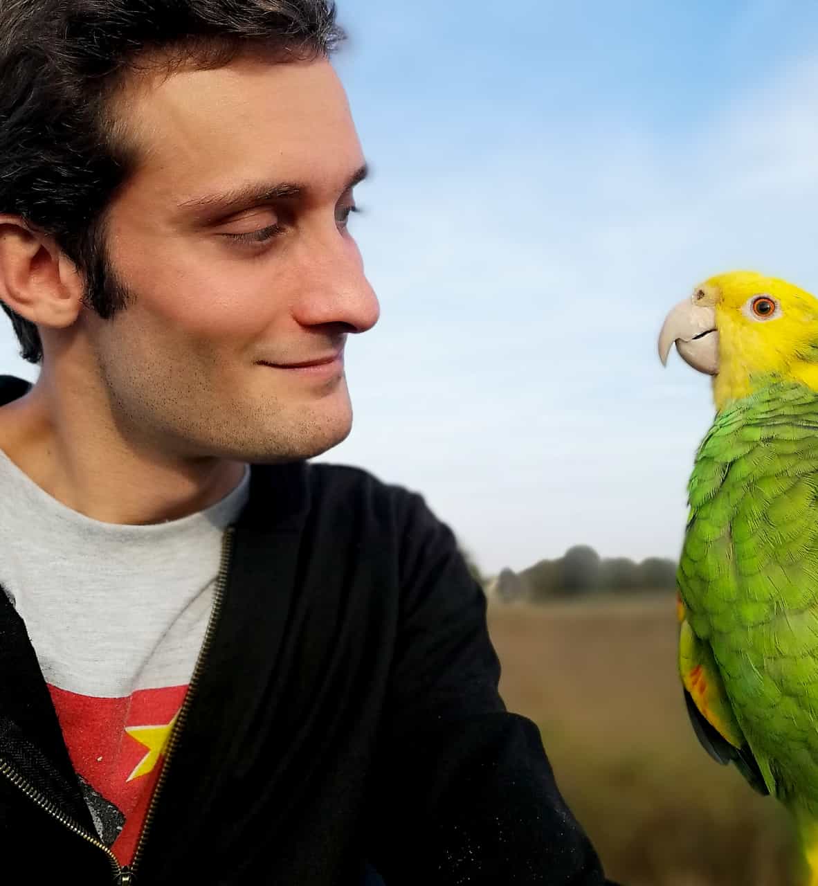 Pappagalli in volo… sull’Oltrepò pavese