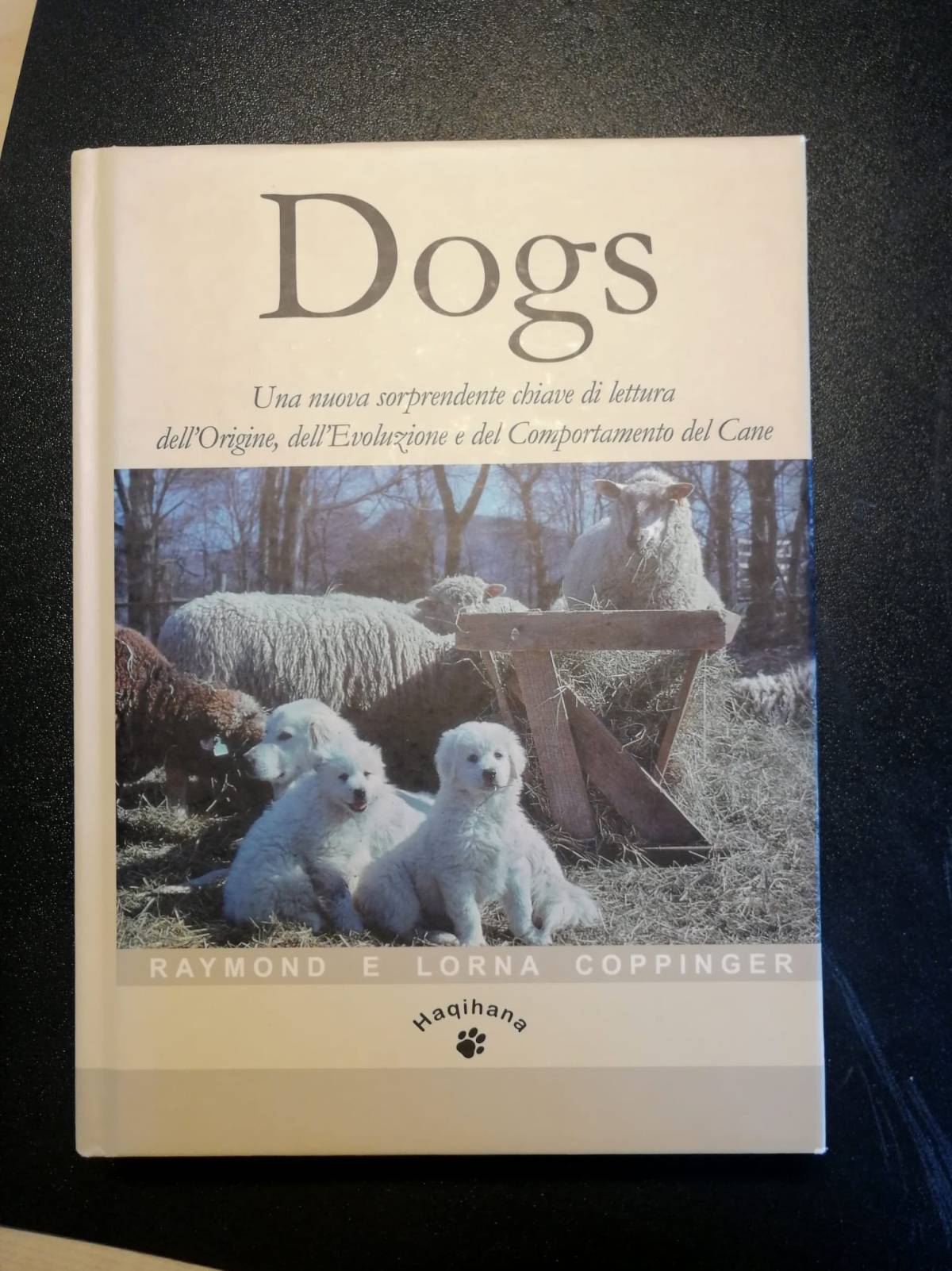 Buon anno nuovo… sulle orme dei&nbsp;Coppinger
