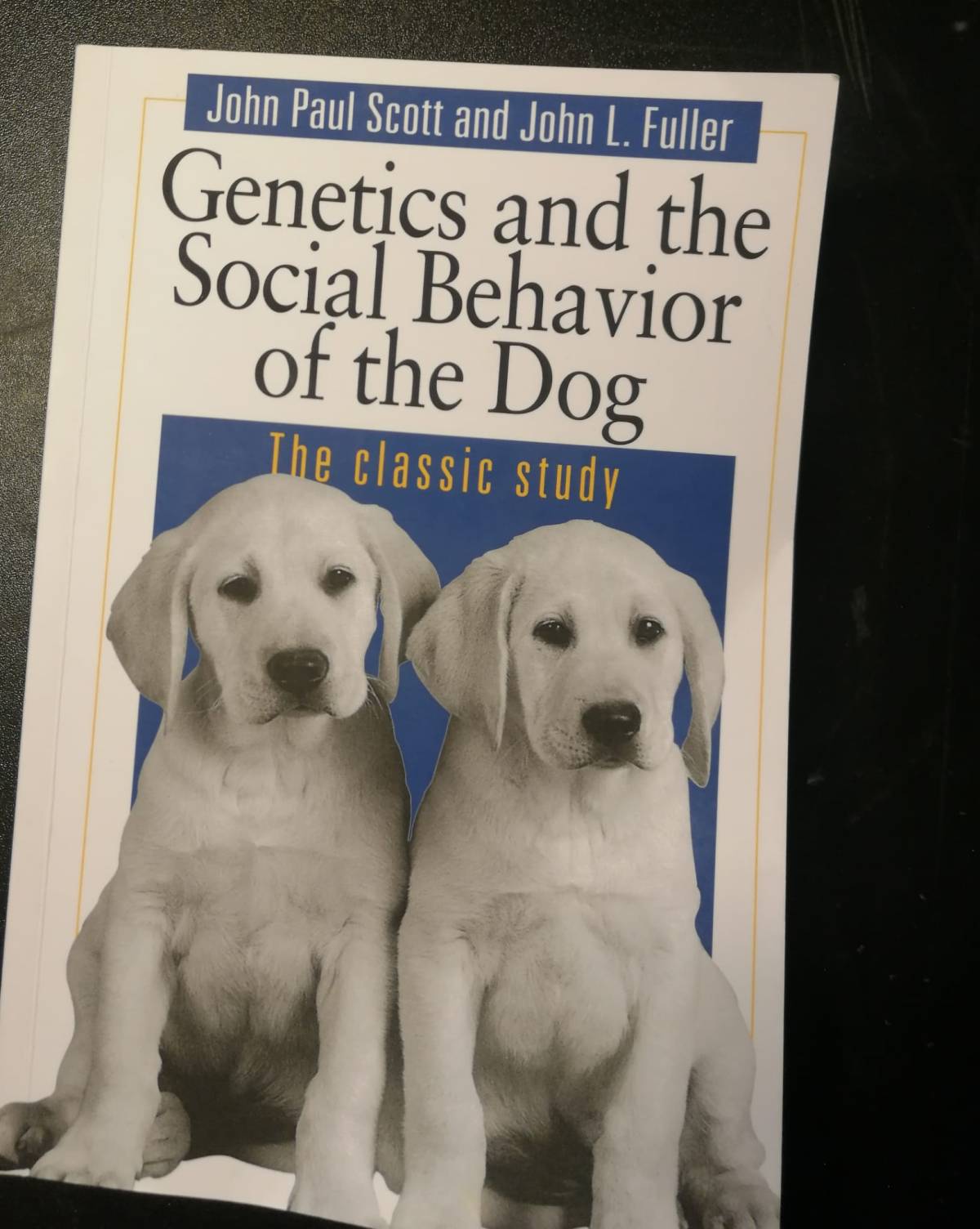Psicologia canina nel dettaglio, con il classico di Scott &&nbsp;Fuller