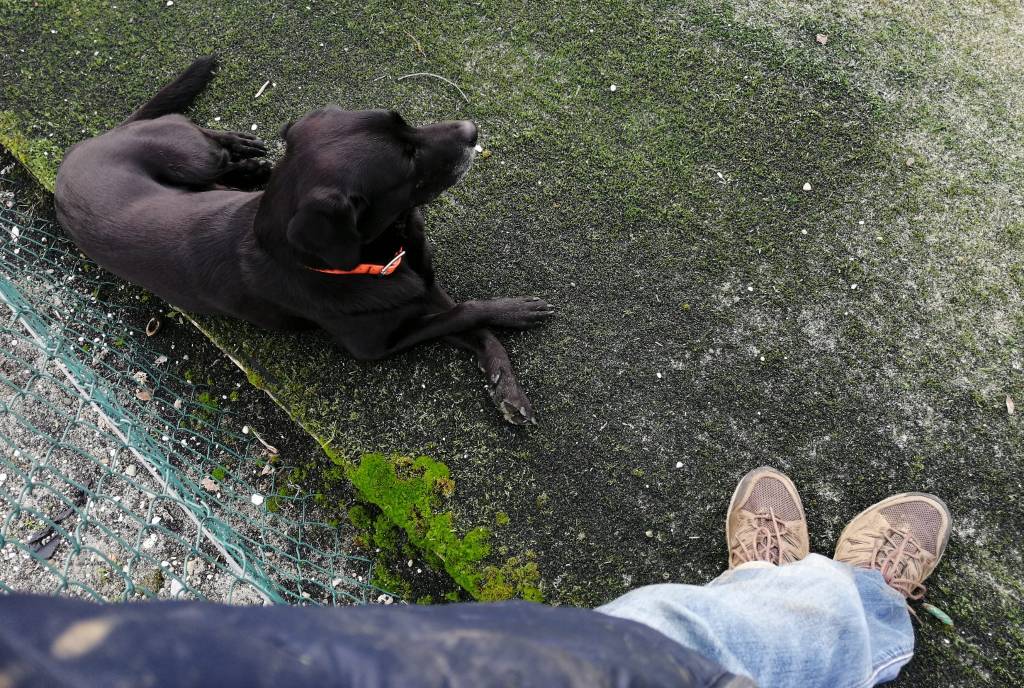 Un binomio nella nebbia, e un nuovo&nbsp;traguardo