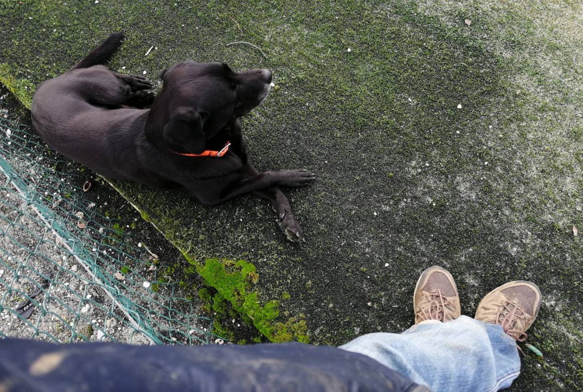 Un binomio nella nebbia, e un nuovo&nbsp;traguardo