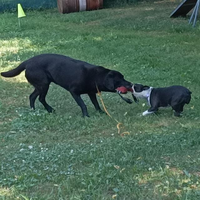 Il tempo per&nbsp;ricordare